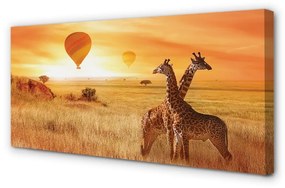 Stampa quadro su tela Balloons Heaven Giraffe 100x50 cm