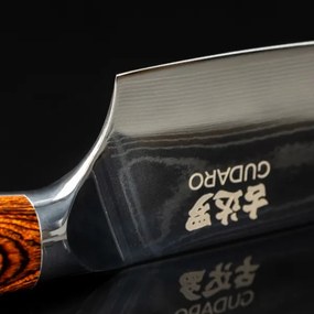 Gudaro - Coltello da chef in acciaio damasco FENG 8", 67 strati d'acciaio, lunghezza 20 cm