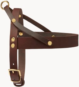 Imbracatura per cani in pelle Classic, varie misure