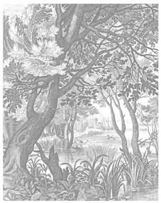 KEK Amsterdam Carta da parati panoramica Engraved Landscapes 4 - XS