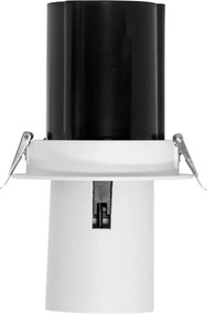 Faro LED da Incasso 30W Orientabile CCT Foro Ø120mm 60° Bridgelux LED Colore Bianco Variabile CCT