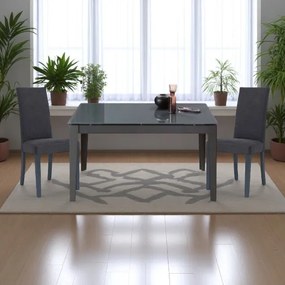 Sedia da pranzo in tessuto Antracite DENVER - Set 2