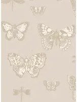 Tapete Butterflies & Dragonflies von Cole & Son - Grey