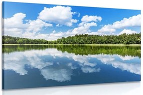 Stampa su tela – Natura in estate