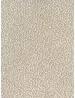 Andrew Martin Carta da parati Moss - Plaster