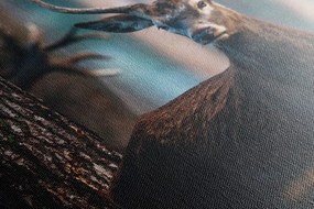 Quadro su tela – Cervo nel bosco