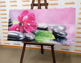 Stampa su tela – Orchidea con tocco di relax