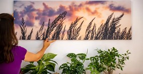 Quadro su tela – Spighe di erba lunga