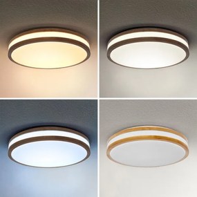 Brilagi - Lampada LED da soffitto dimmerabile MOLINA LED/48W/230V 3000-6500K + D