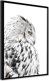 Dipinto 50x70 cm Owl – Styler