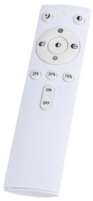 Plafoniera bianca 33 cm con LED e dimmer con telecomando - Iene