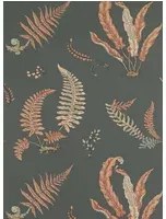 GP & J Baker Carta da parati Ferns - Coral/ Charcoal