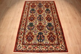 Bakhtiar Tappeto persiano 150x250 (Iran) Annodato A Mano