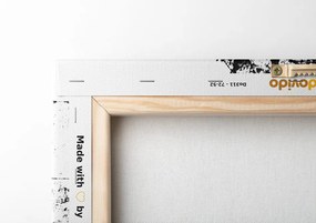 Stampa su tela – Donna con elementi astratti