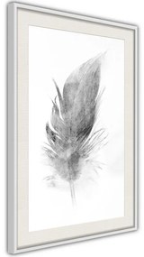 Poster  Lost Feather (Grey)  Cornice Quadri Cornice nera con pass-partout, Larghezza x Altezza Home decor 40x60