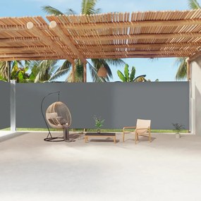 Tenda Da Sole Laterale Retrattile Antracite 220x1200 Cm /