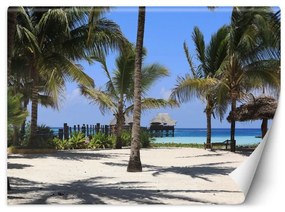 Carta Da Parati, Maldive Spiaggia Paradiso delle Palme