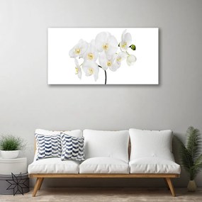 Quadro su tela Fiori di orchidea bianchi 100x50 cm