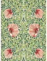 Morris & Co Carta da parati Pimpernel - Shamrock/ Watermelon