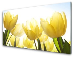 Quadro in vetro Tulipani Fiori radiosi 100x50 cm
