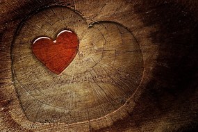 Carta da parati autoadesiva – Cuore su ceppo