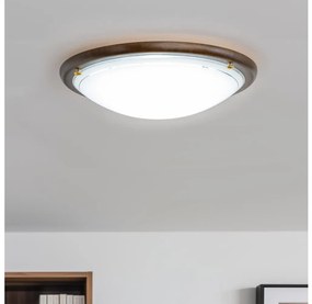 Rabalux 5417 - Plafoniera UFO E27/60W/230V