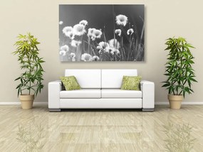 Quadro su tela – Erba di cotone in bianco e nero