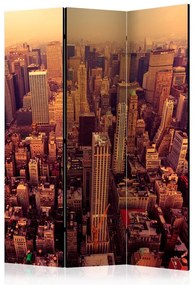 Paravento Bird Eye View Of Manhattan, New York [Room Dividers]