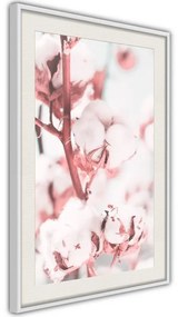 Poster Cotton Flowers