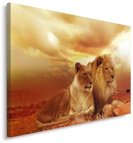 Quadro su tela, Leoni Animali Africa Marrone