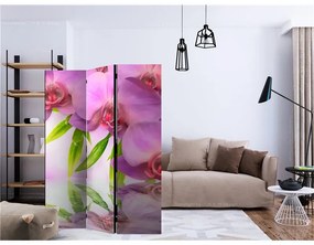 Paravento Orchid Spa [Room Dividers]