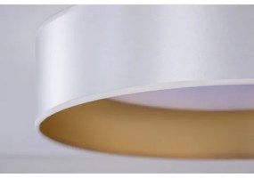 Duolla - Plafoniera LED ROLLER LED/24W/230V diametro 45 cm argento/oro