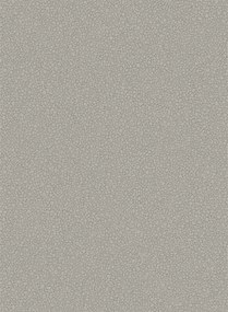 Tapete Pebble von Cole and Son - Grey