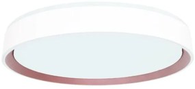 Plafoniera LED dimmerabile con controllo vocale OPAL LED/48W/230V + +TC