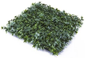 Parete verde artificiale Edera Divy 3D in polietilene, verde H 1 m x L 1 m