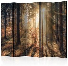 Paravento Autumnal Forest II [Room Dividers]
