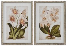 Quadro Home ESPRIT Tropicale Orchidea 50 x 2,5 x 70 cm (2 Unità)