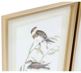 Quadro DKD Home Decor Uccelli (35 x 2.5 x 45 cm) (4 pezzi)