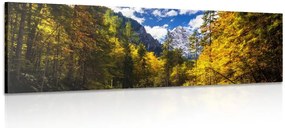 Stampa su tela – Paesaggio montano