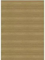 Arte International Tapete Line - Bronze