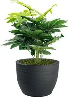 Pianta Artificiale Aralia 70 cm Con Vaso Nicoli Hera 40 Incluso - colore: Elegance Antracite - P04-V08-P