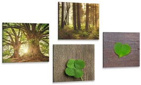 Set di quadri – Brezza della natura