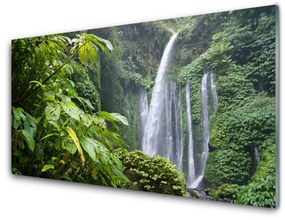 Quadro su vetro acrilico Cascata della natura 100x50 cm