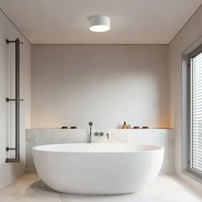 Brilagi - Plafoniera da soffitto per bagno a LED FORIS LED/14W/230V Ø 12 cm bianca IP44