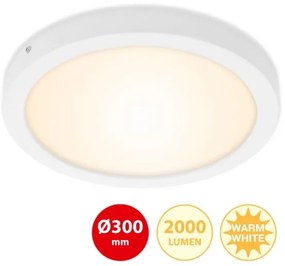 Briloner 7141-016 - Plafoniera LED FIRE LED/21W/230V