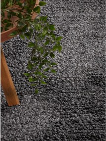 Tappeto grigio scuro tessuto a mano 160x230 cm Notting Hill Portobello – Ted Baker