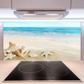 Pannello paraschizzi cucina Stelle marine di conchiglie 100x50 cm