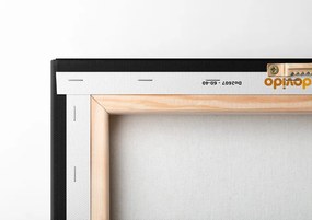 Stampa su tela – Cervo blu-oro