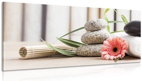 Stampa su tela – Natura morta meditativa e benessere
