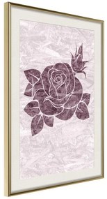 Poster  Monochromatic Rose  Cornice Quadri Cornice d'oro con passe-partout, Larghezza x Altezza Home decor 40x60